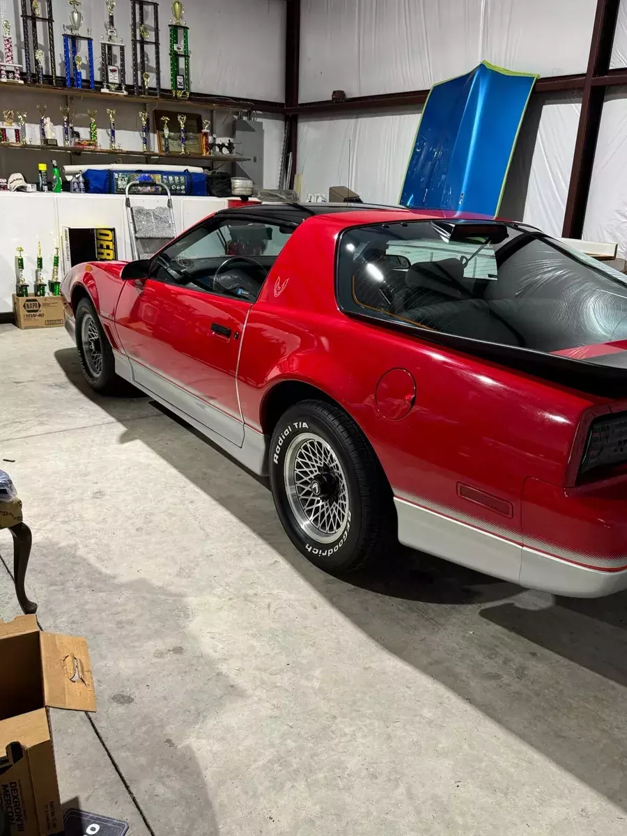 1986 Pontiac Firebird TRANS AM