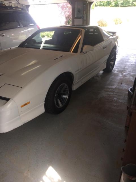 1986 Pontiac Firebird Trans Am Coupe 2-Door