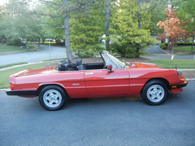 1986 Alfa Romeo Spider Veloce