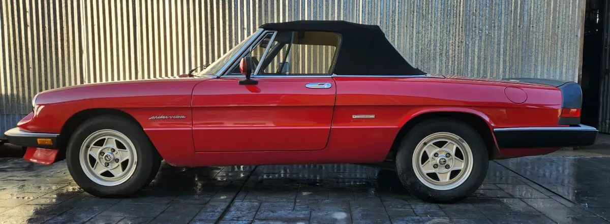 1986 Alfa Romeo Spider