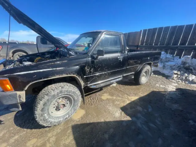 1986 Toyota Pickup RN64 SR5