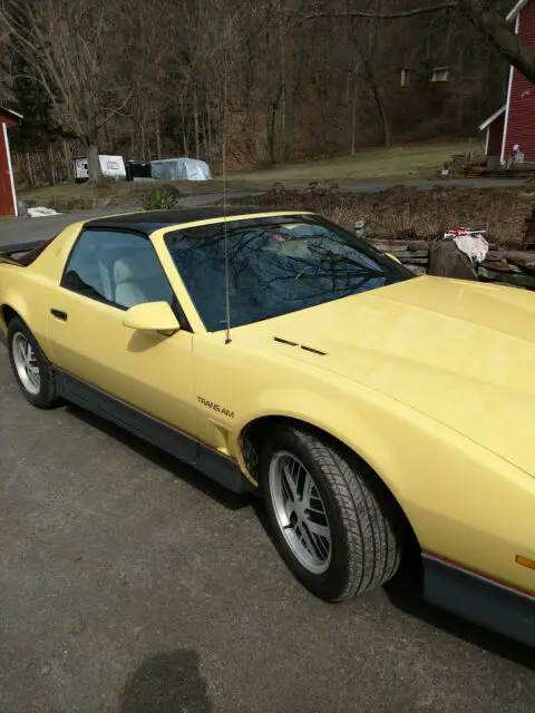 1986 Pontiac Trans Am Trans am