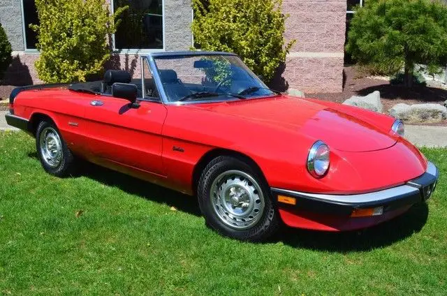 1987 Alfa Romeo Spider Graduate Convertible 2-Door