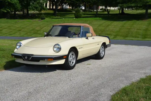 1987 Alfa Romeo Spider