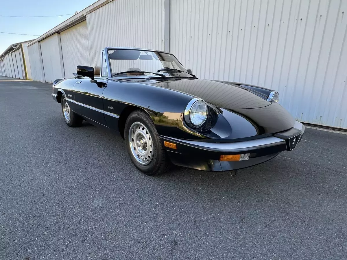 1987 Alfa Romeo Spider GRADUATE