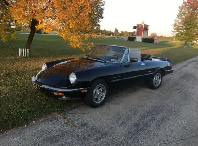 1987 Alfa Romeo Spider VELOCE