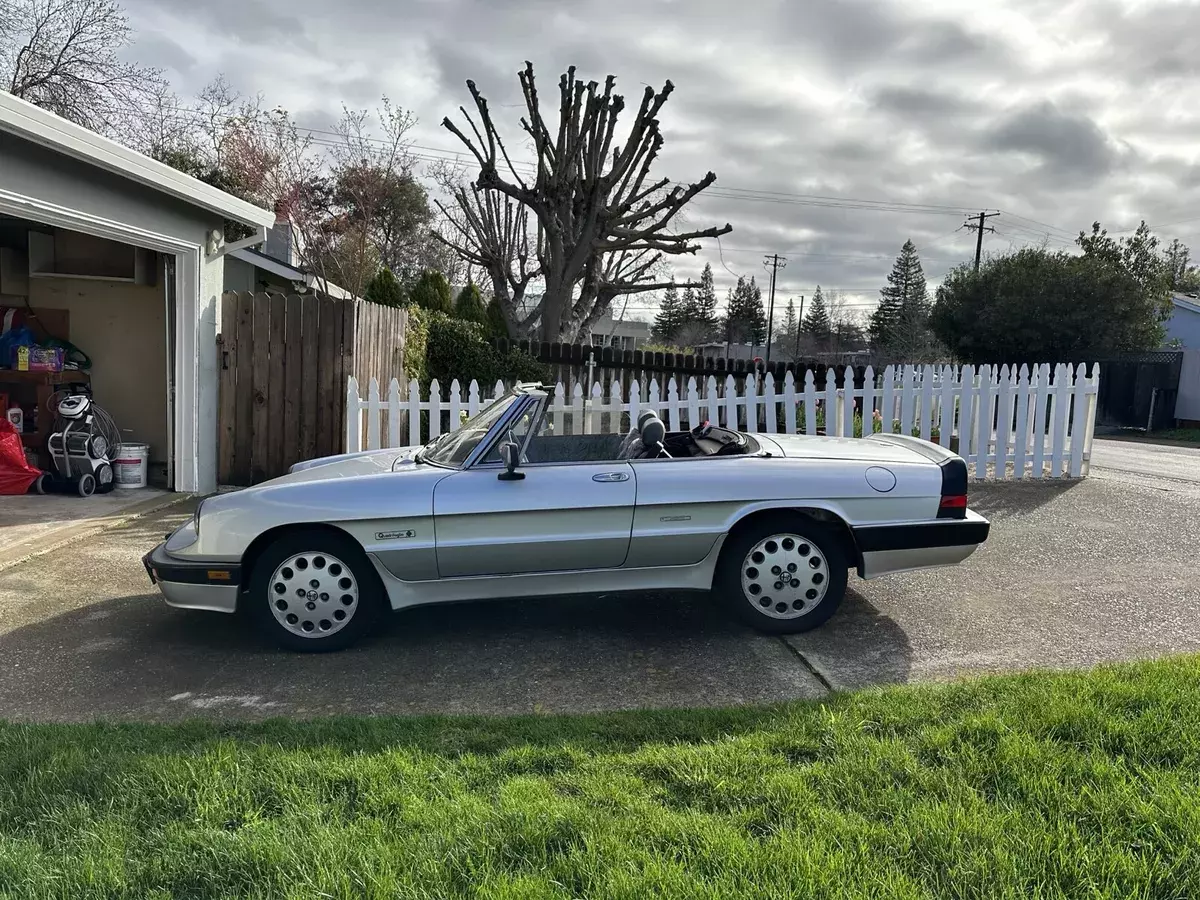 1987 Alfa Romeo Spider QUADRIFOGLIO