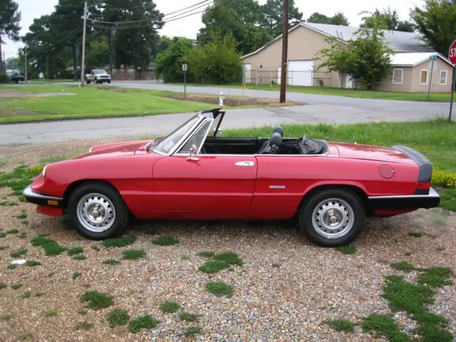 1987 Alfa Romeo Spider