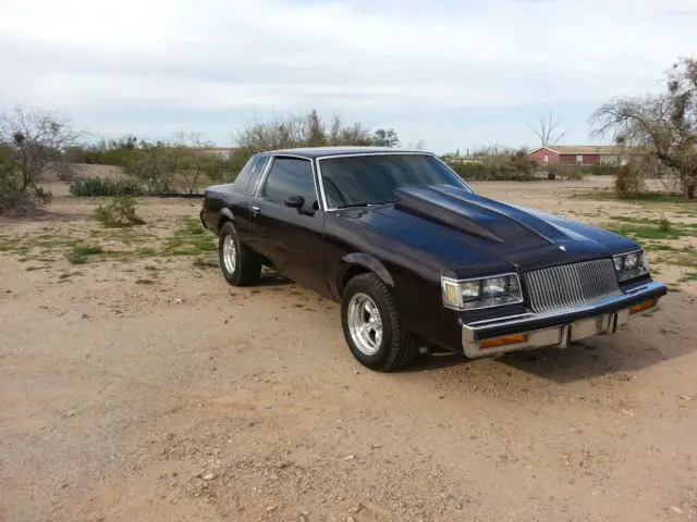 1987 Buick Regal Grand National Turbo 2dr Coupe