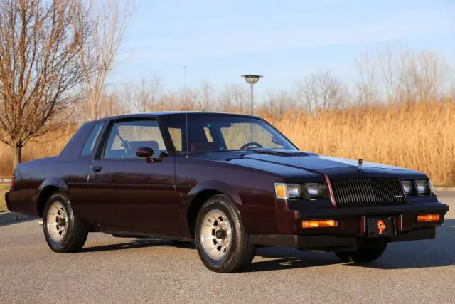 1987 Buick Regal T Package