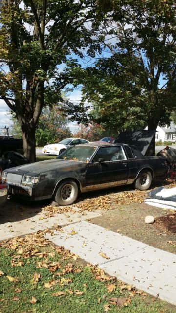 1987 Buick Regal Limited Edition