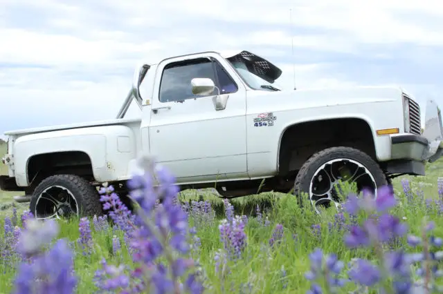 1987 Chevrolet Other Pickups