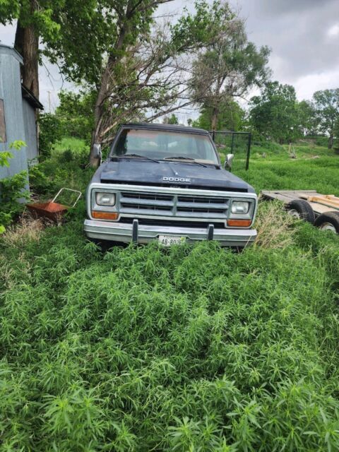 1987 Dodge Other Pickups W100