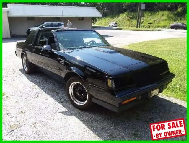 1987 Buick Regal Grand National Turbo