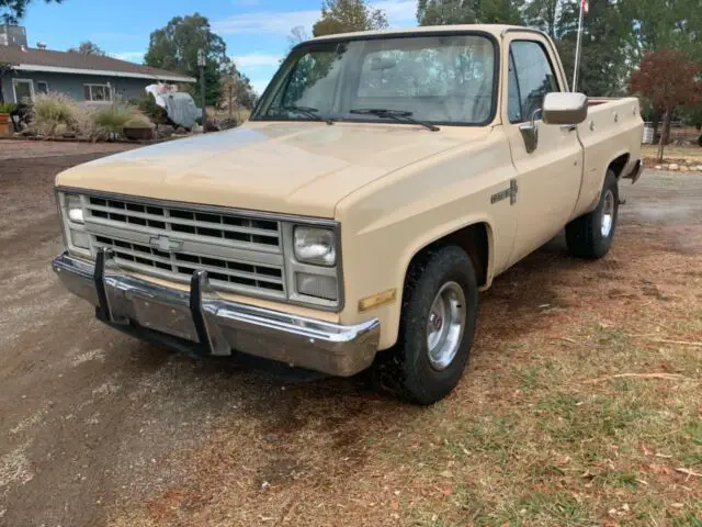 1987 Chevrolet C-10 Deluxe