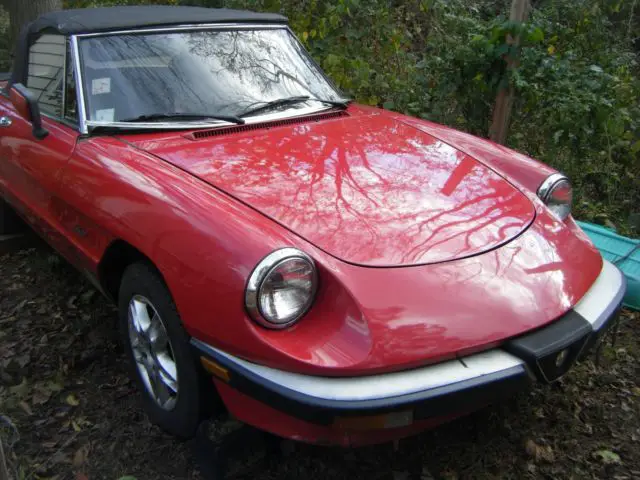 1988 Alfa Romeo Spider