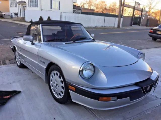 1988 Alfa Romeo Spider