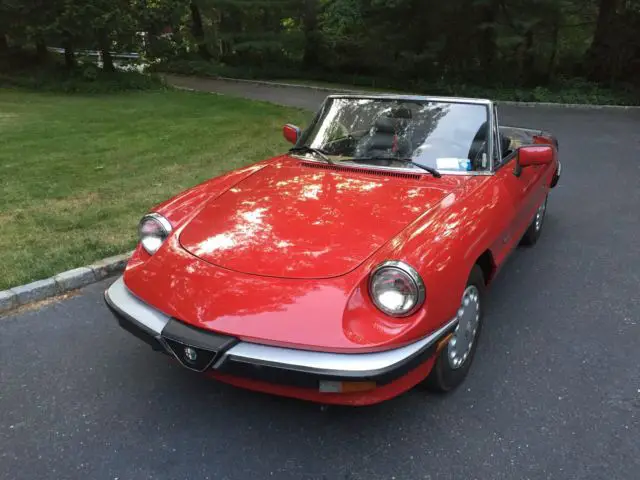 1988 Alfa Romeo Spider