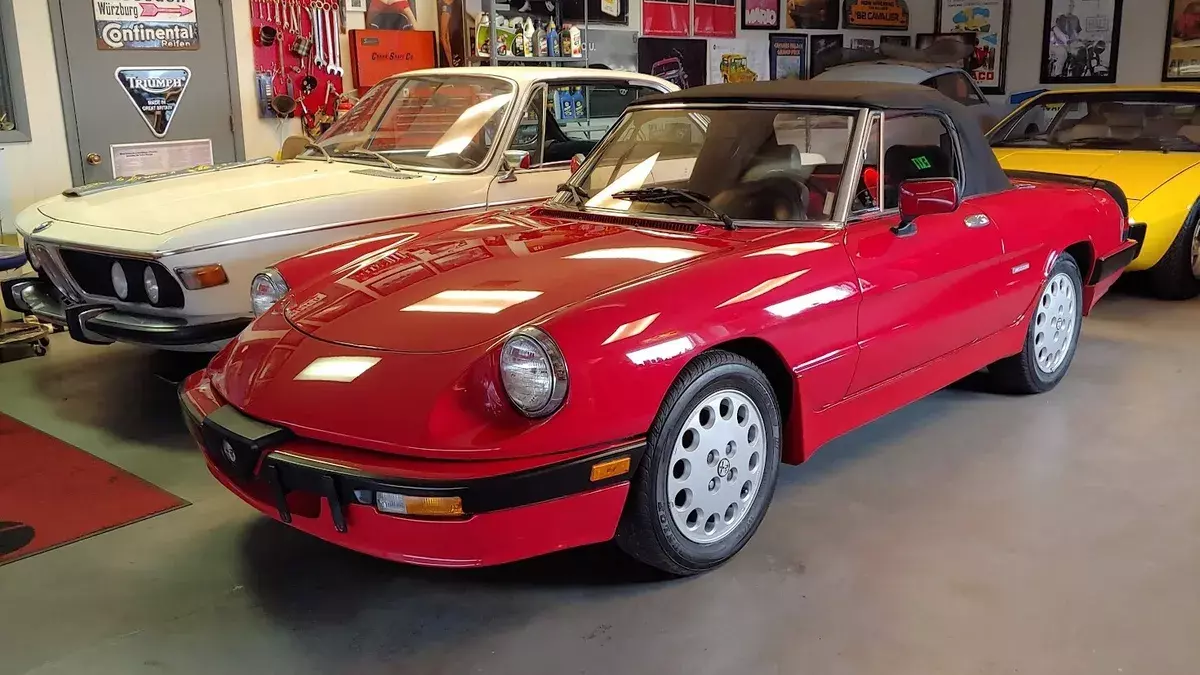 1988 Alfa Romeo Spider