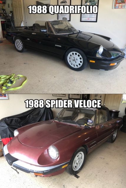 1988 Alfa Romeo Spider VELOCE/QUADRIFOLIO