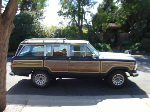 1988 Jeep Wagoneer Wagoneer