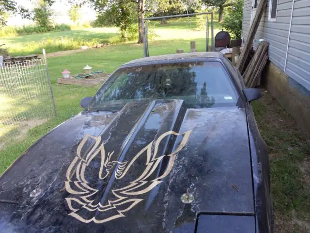 1988 Pontiac Trans Am