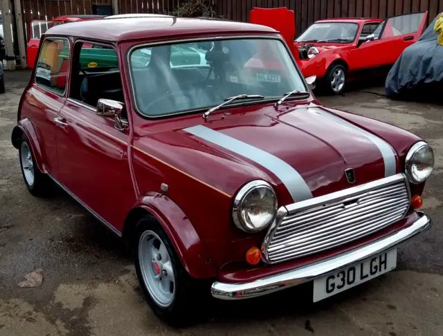 1989 Mini Classic Mini