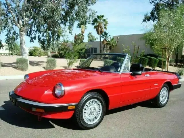 1989 Alfa Romeo Spider 2 Door