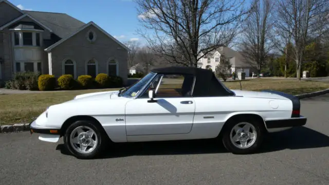 1989 Alfa Romeo Spider 2dr Coupe Graduate