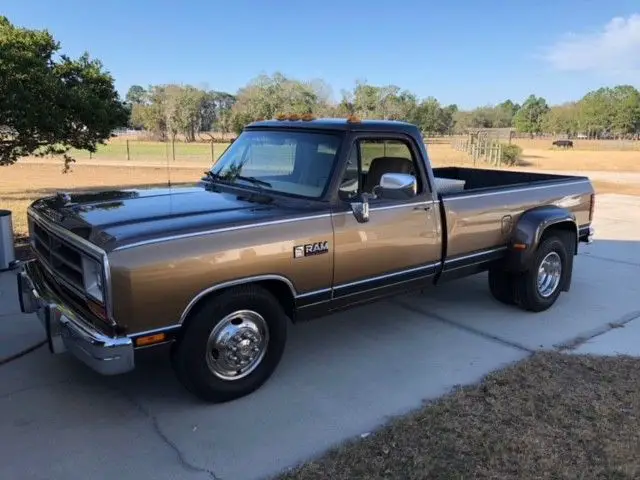 1989 Dodge Other Pickups base