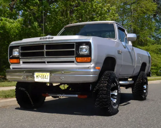 1989 Dodge Other Pickups Base Standard Cab Pickup 2-Door