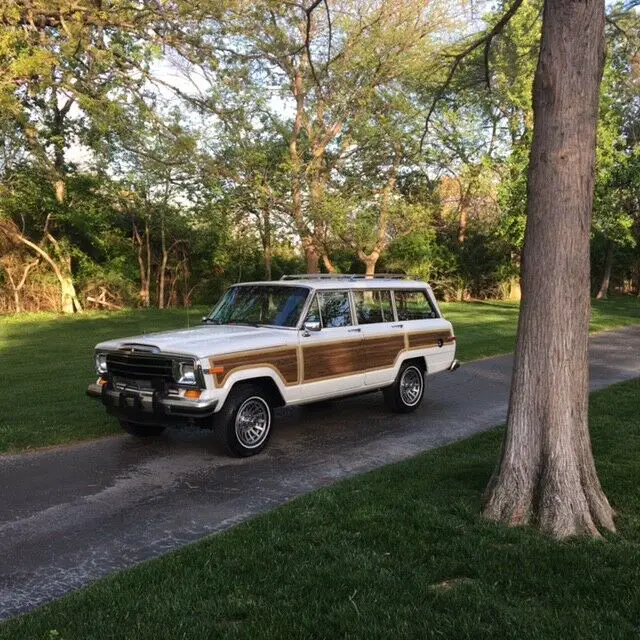 1989 Jeep Wagoneer