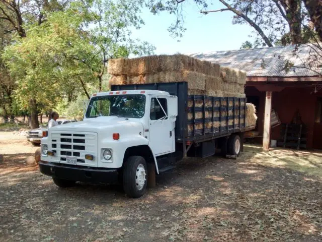 1989 Ford Other