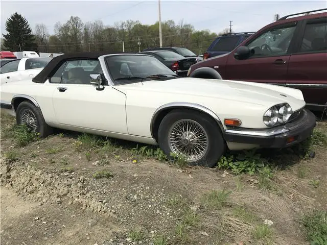 1989 Jaguar XJS --