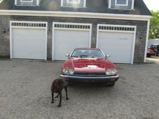 1989 Jaguar XJS