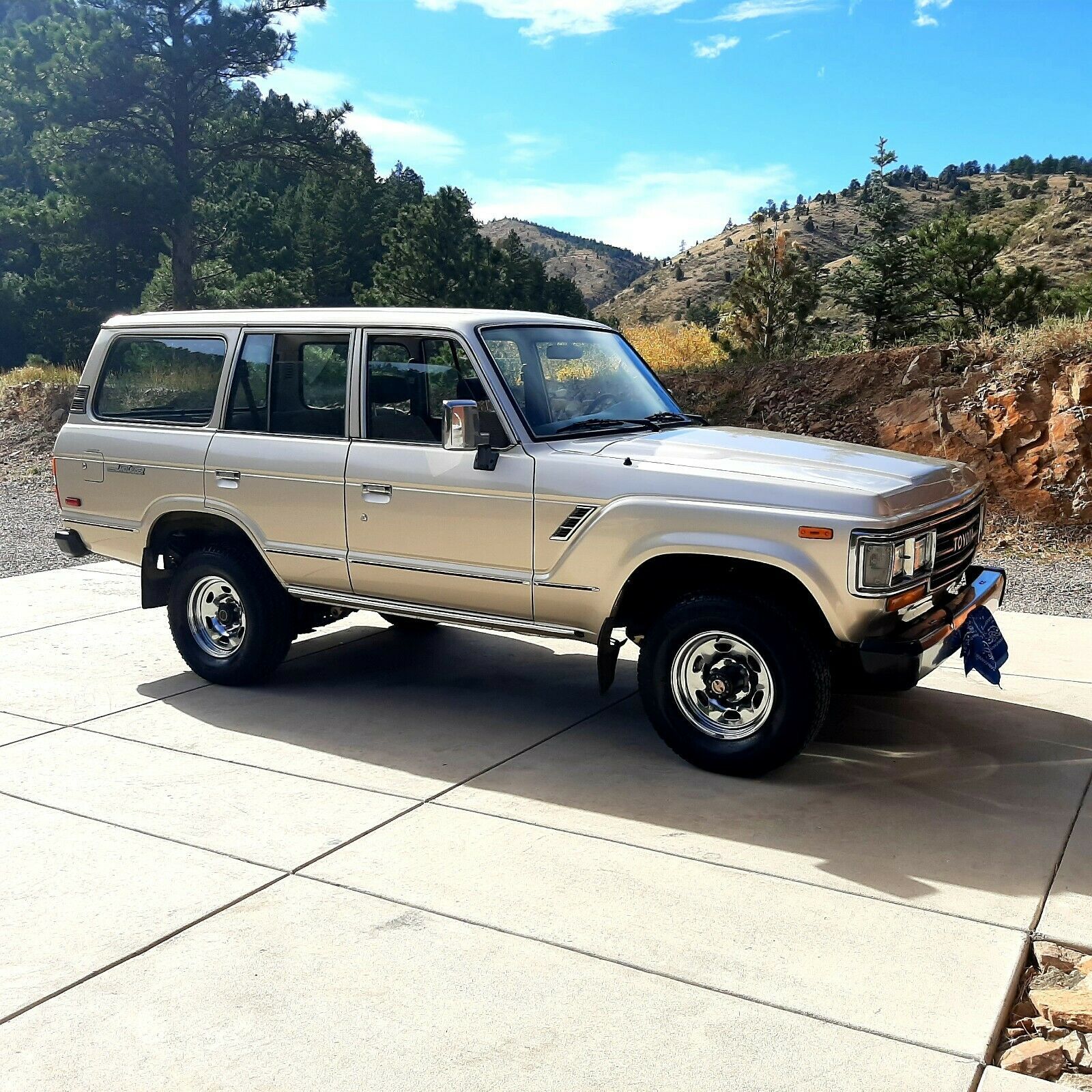 1989 Toyota Land Cruiser