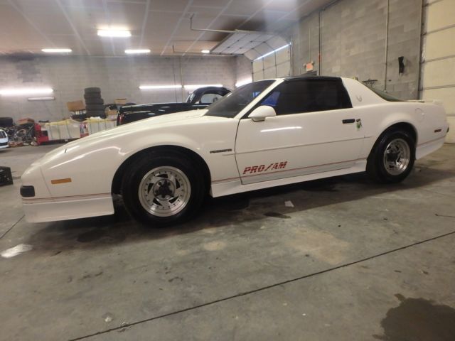 1989 Pontiac Trans Am Pro Am