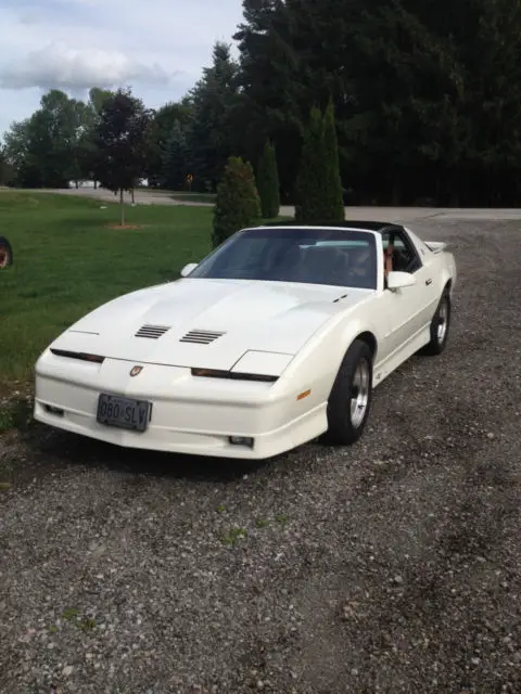 1989 Pontiac Trans Am TTA