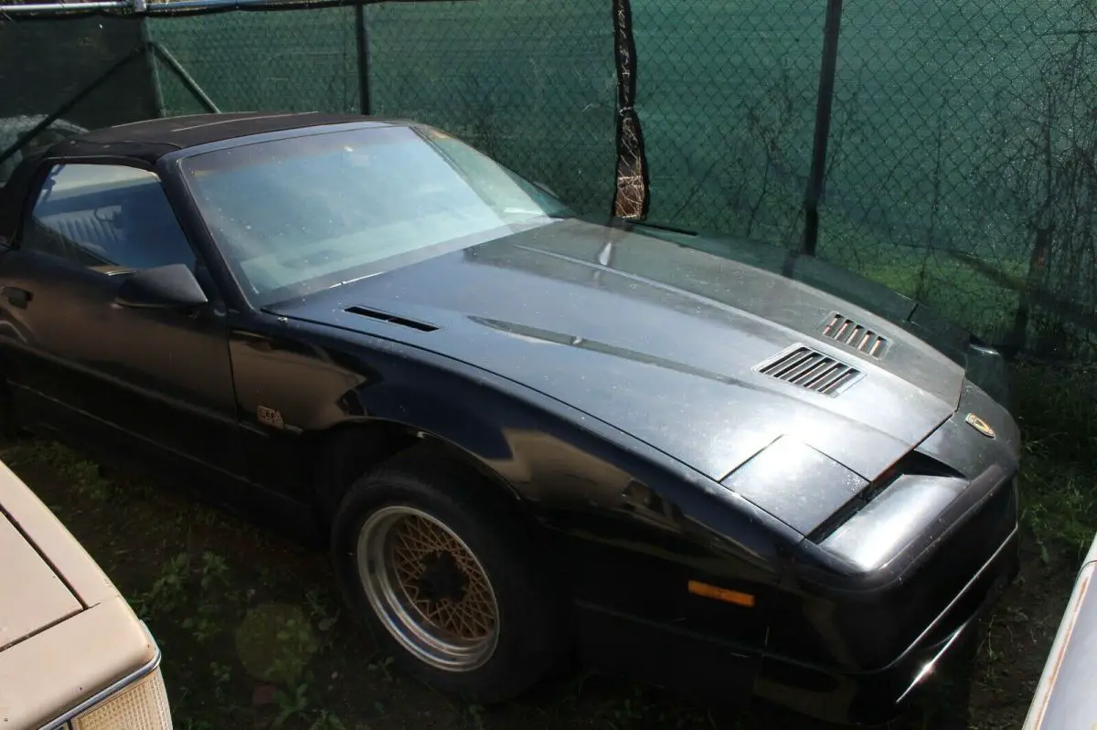 1989 Pontiac Trans Am GTA