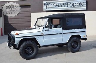 1989 Mercedes-Benz G-Class G wagon class series Mastodon Defender D-90