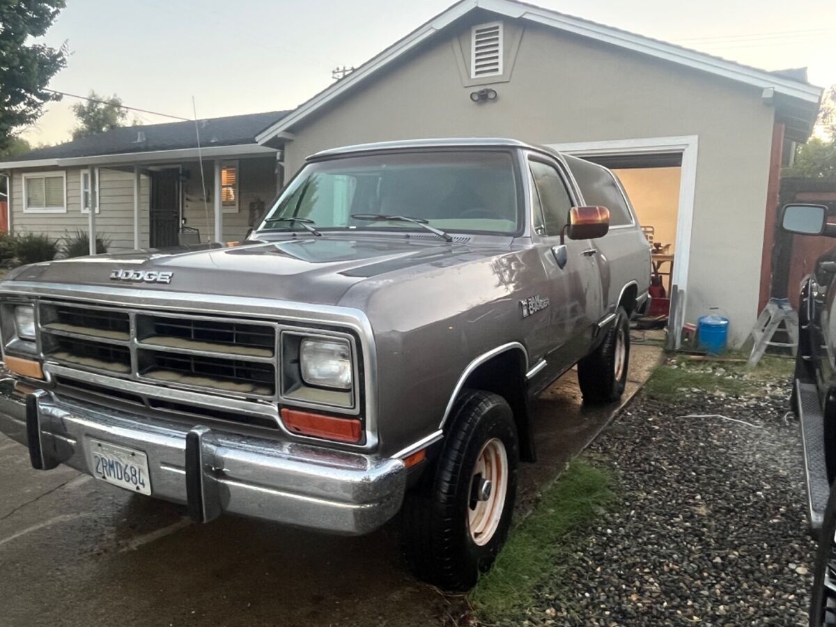 1989 Dodge Ramcharger Le