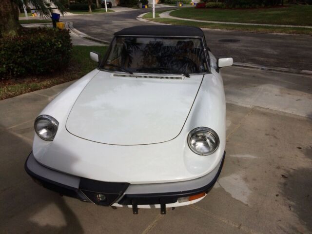 1990 Alfa Romeo Spider Conv