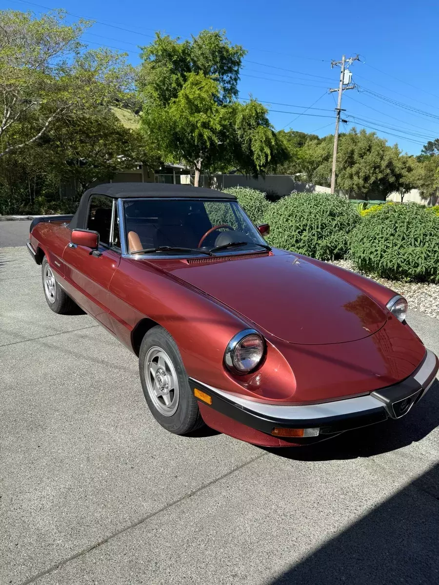 1990 Alfa Romeo Spider VELOCE