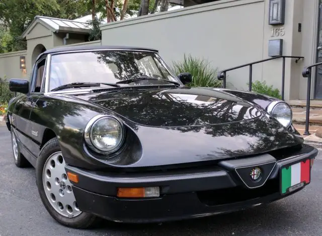 1990 Alfa Romeo Spider