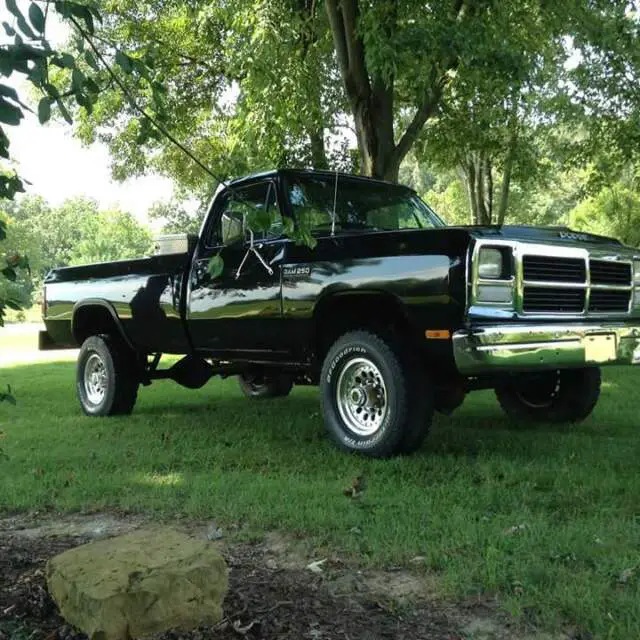 1990 Dodge Other Pickups