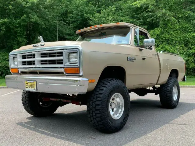 1990 Dodge Other Pickups