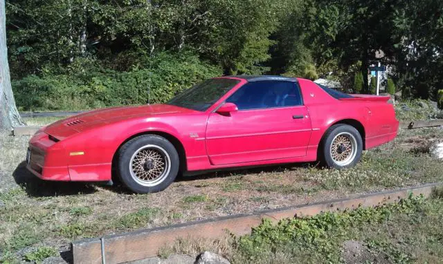 1990 Pontiac Firebird GTA WS6