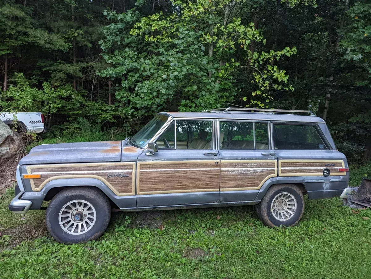 1990 Jeep Wagoneer