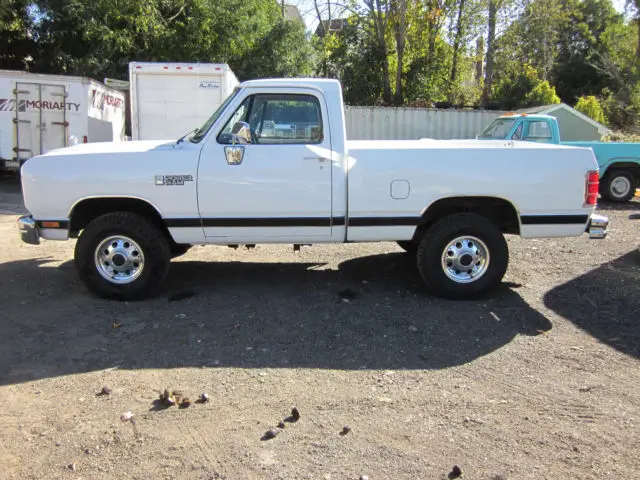 1990 Dodge Other Pickups LE Package