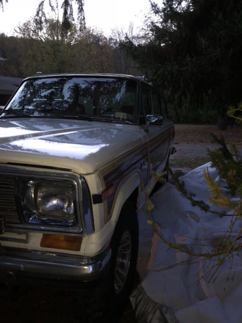 1990 Jeep Wagoneer